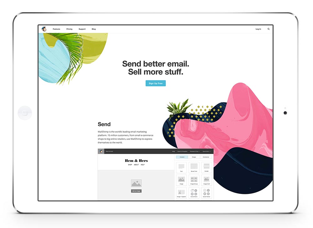 Enfold Mailchimp Screenshot 3